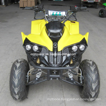 Mini Quad 125CC ATV Et-ATV048 (NEW Frame NEW QUAD) (ET-ATV048)